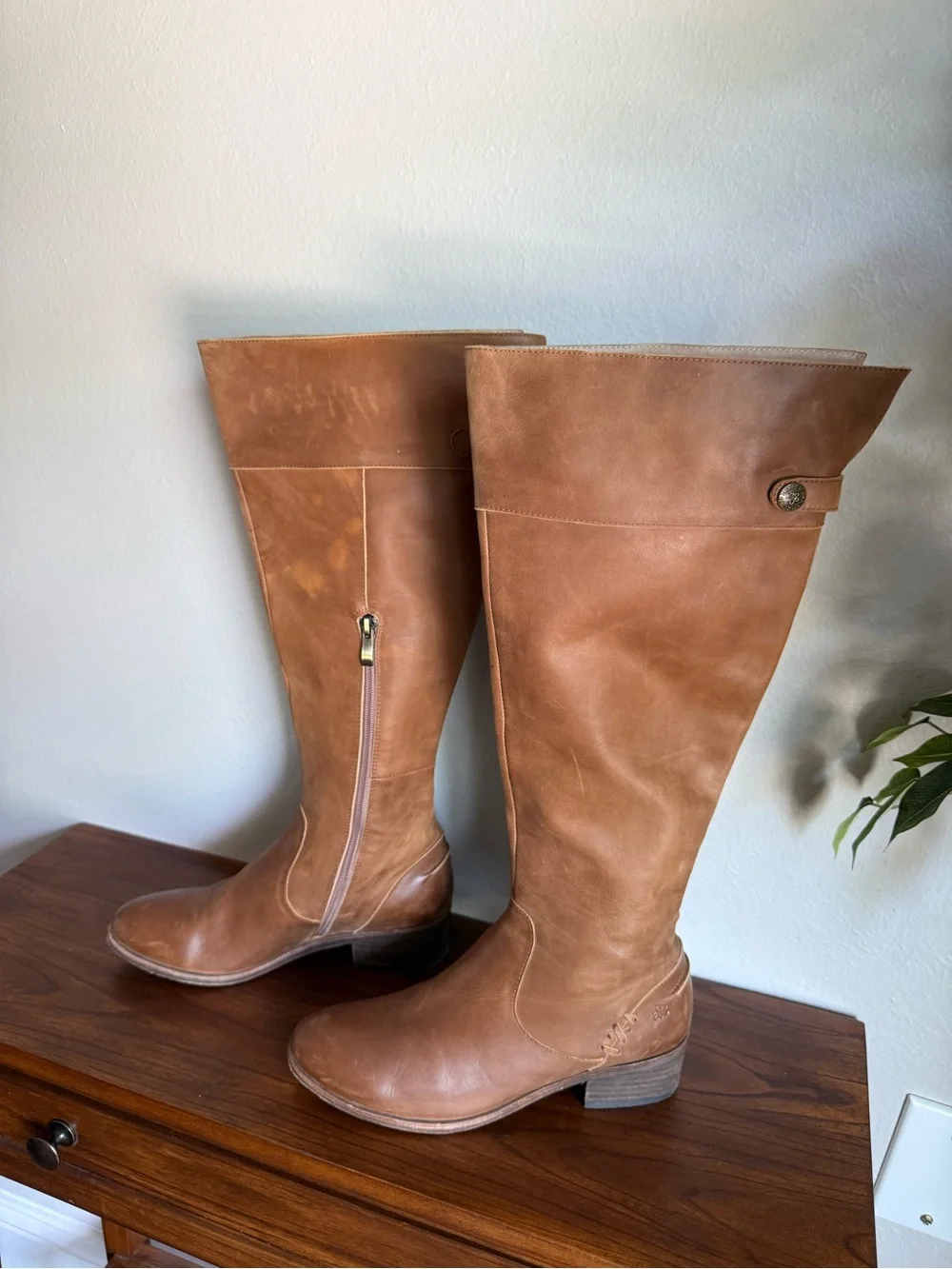 Joyfolie Genuine Leather Tall Hadley Boots in Camel Brown Women’s Size 8
